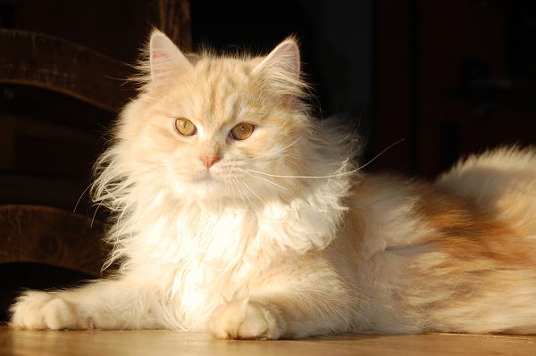 k-DSC_0136 - Kopie.JPG